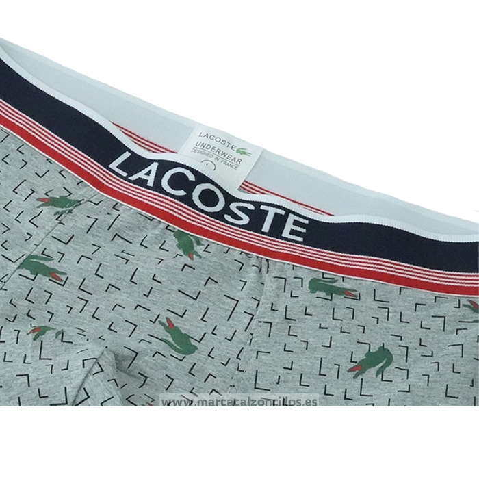 Boxer Lacoste Hombre Prints Colors Gris Verde